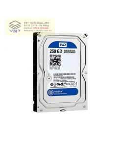 Ổ cứng WD 250GB Nhập khẩu